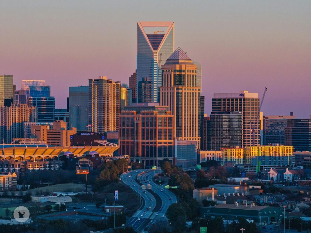 Charlotte IT Services: What Every Business Should Know