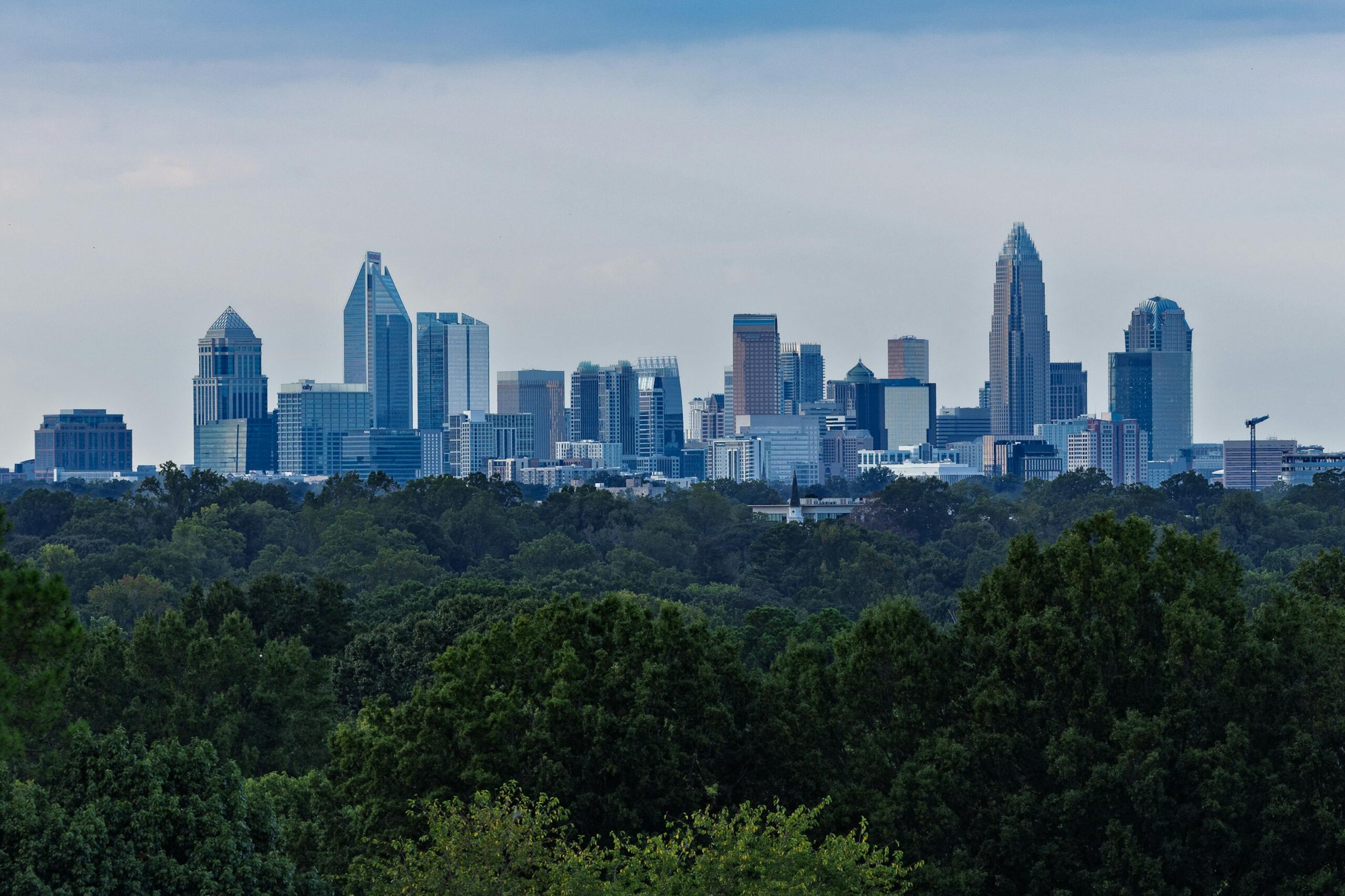 Dental IT companies for Charlotte businesses — NetSafe Solutions managed IT
